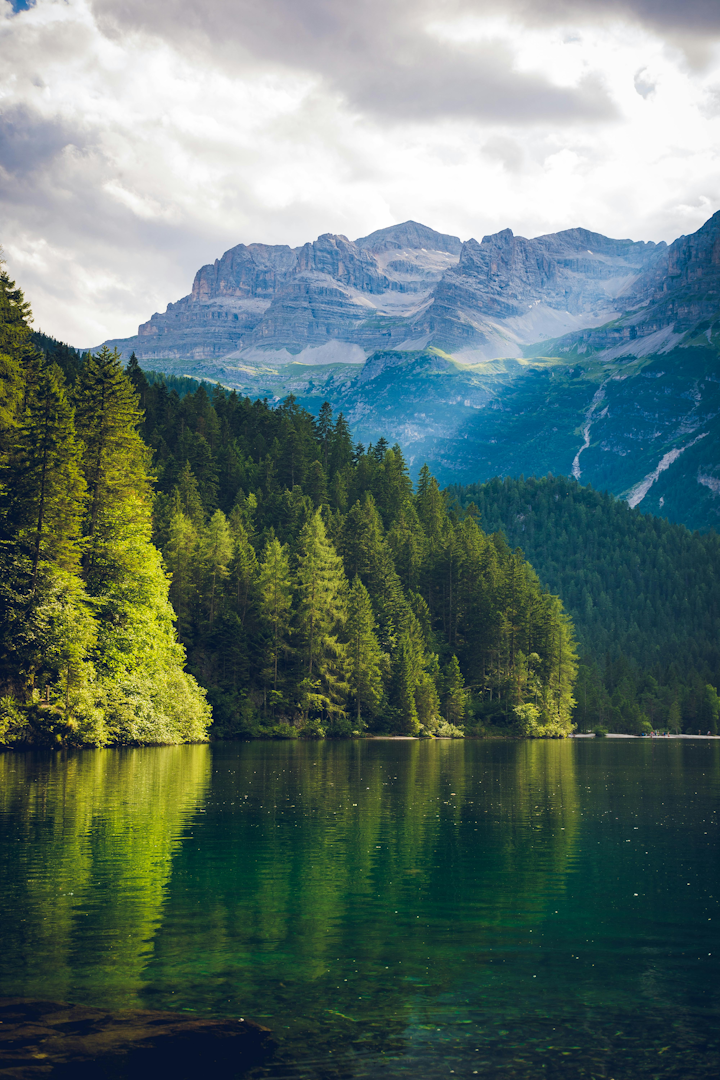 lake next to a forest with a mountain in the background